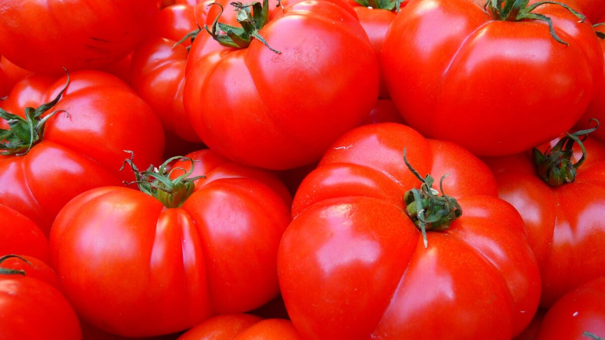 i benefici dei pomodori