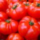 i benefici dei pomodori
