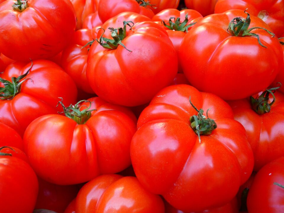 i benefici dei pomodori